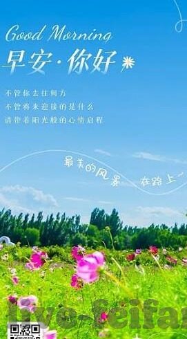球探足球比分意甲-深度揭秘意甲赛场，球探视角下的比分密码与战术博弈